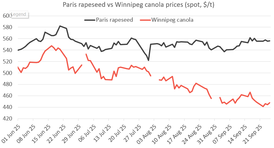 Canola vs rapeseed