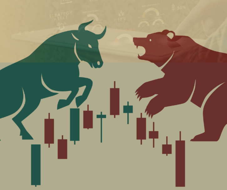 Weekly Oilseeds Outlook