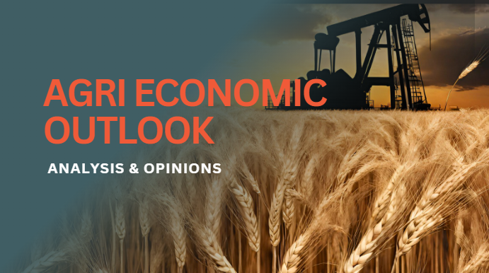 AgriEconomic Outlook - Long term supply & demand outlook