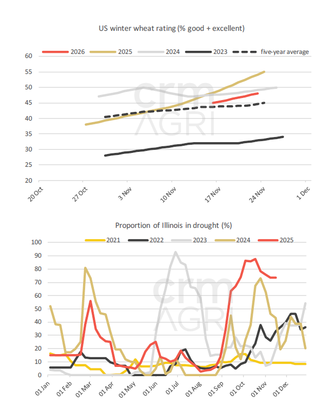 Crop Watch - US crop ratings above average