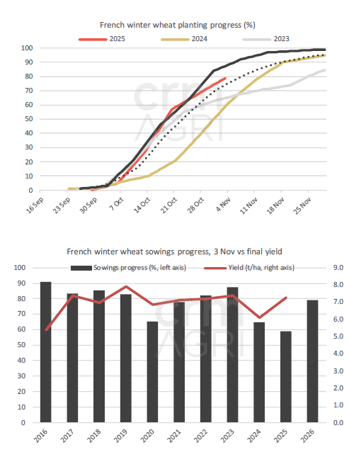 Crop Watch - French wheat sowing pace above average