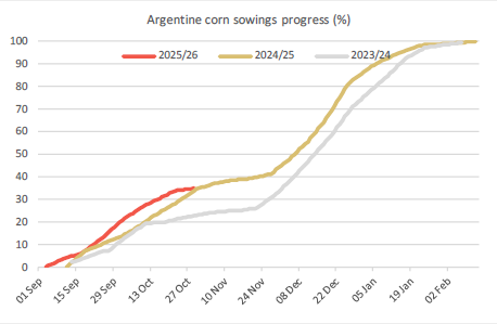 Crop Watch - Argentine corn sowings make fast progress
