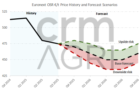 rapeseedpriceforecasts11.25
