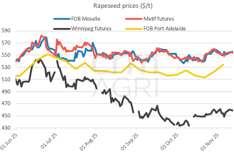 rapeseedprices 13.11.25