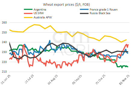 wheatfobprices 04.11.25