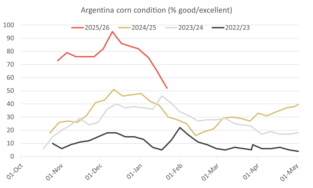 Crop Watch - La Nina boosts dryness and heat threats to Argentine corn and soybeans