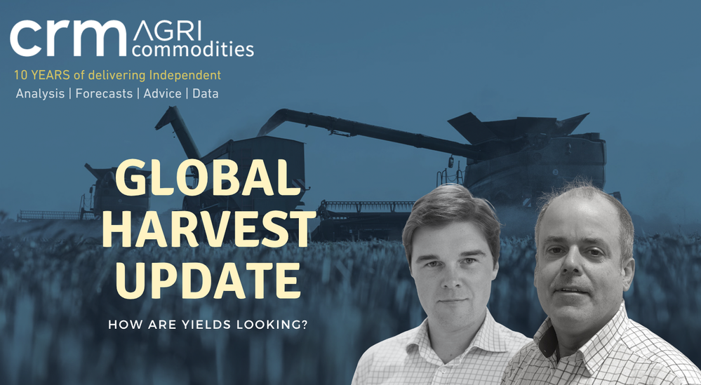 January 2026 Market Snapshot Video