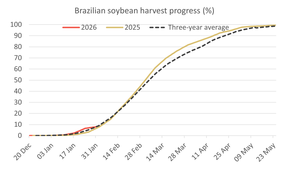 Brazilsoybeanharvestprogress 03.02.26