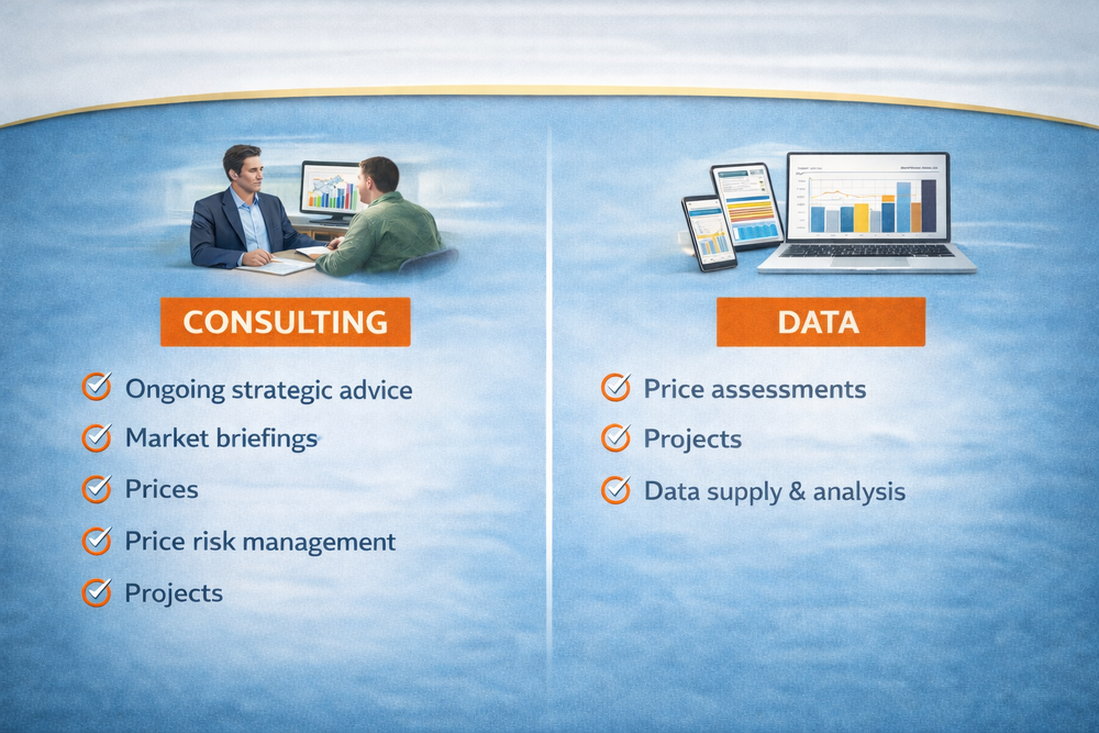 Consulting and data image