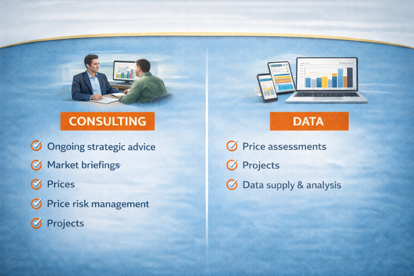 Consulting and data image