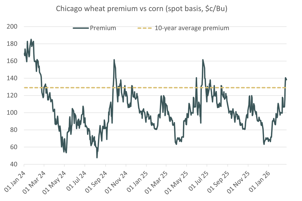 Chicagowheatvscornprice 23.02.26