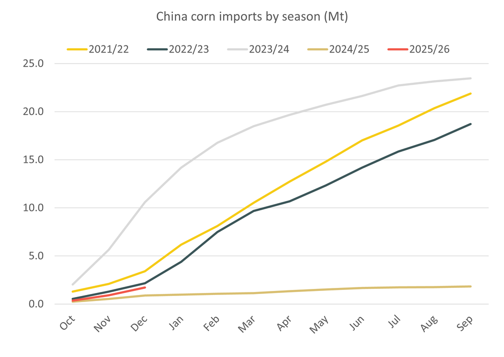 Chinacornimports2 16.02.26 Chinacornimports2 16.02.26