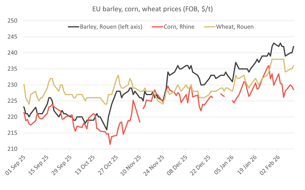 EUbarleycornwheatprices 12.02.26