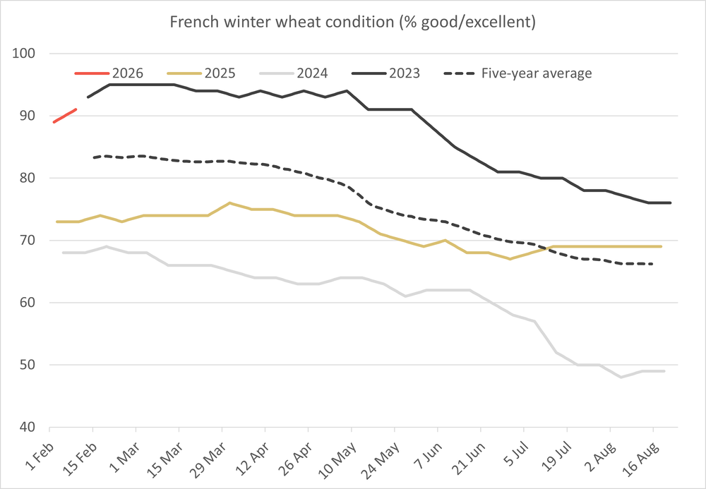 Frenchwinterwheatrating2 17.02.26