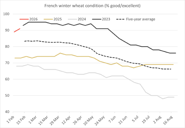 Global Crop Watch - French winter wheat crop enters 2026 in good shape