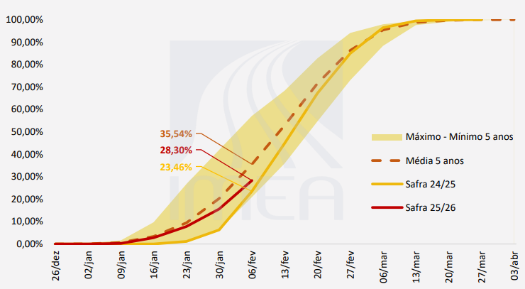 MatoGrossocornsowings 10.02.26