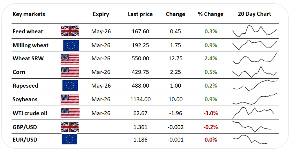 Wheat, buoyed by short-closing, bucks share, oil market selldowns