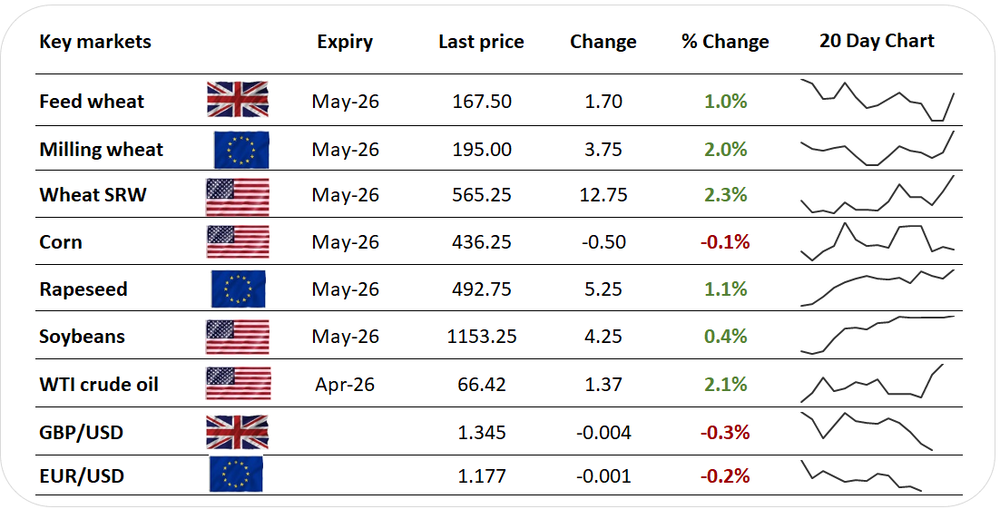 Wheat futures gain as USDA forecasts unusually small sowings