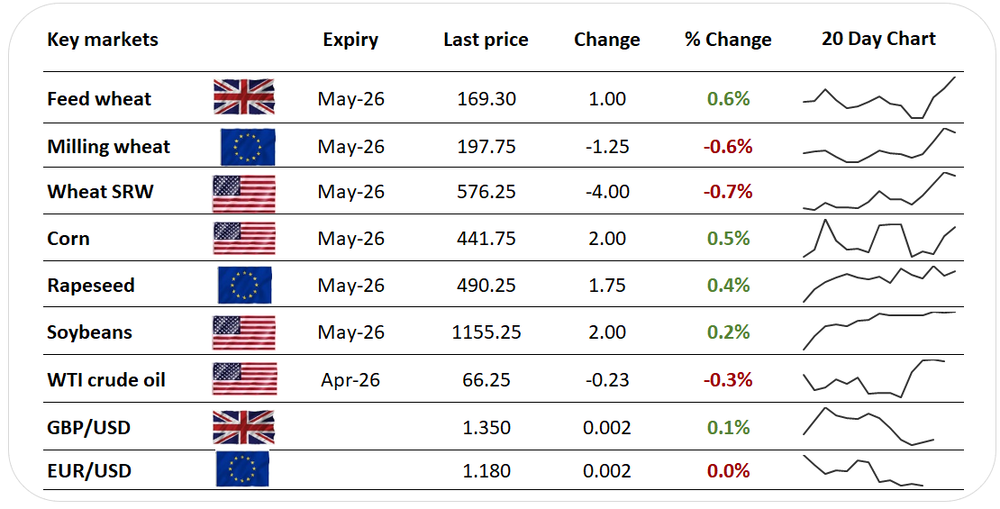 European wheat sees strongest gains in over 8-months