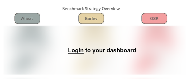 Strategy Dashboard 2026 01 08 163031