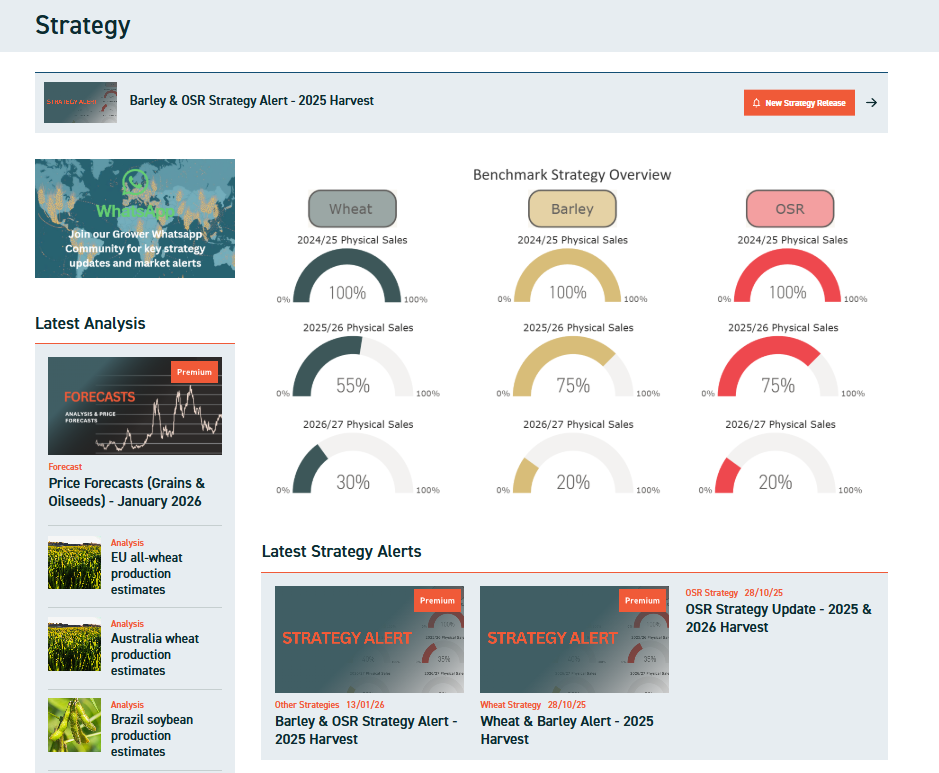 Strategy Dashboard