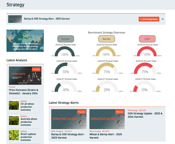 Strategy Dashboard