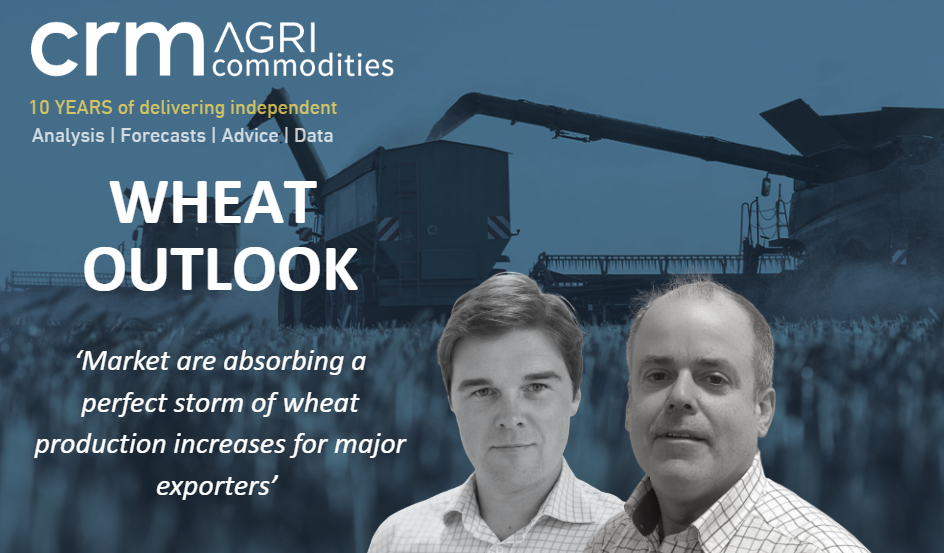 Wheat Market Snapshot Video - February 2026