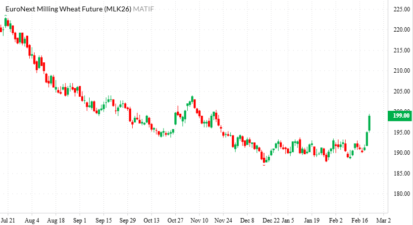 Newsflash: Wheat awakens with strongest Euronext rally in over 8-months