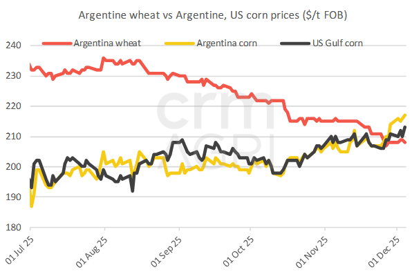argentinewheatvscorn 09.12.25