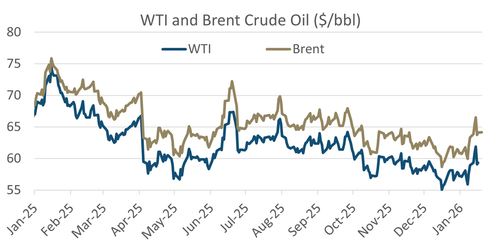 Energy markets & fertiliser - oil and gas outlooks suggest headwinds for Europe's farmers