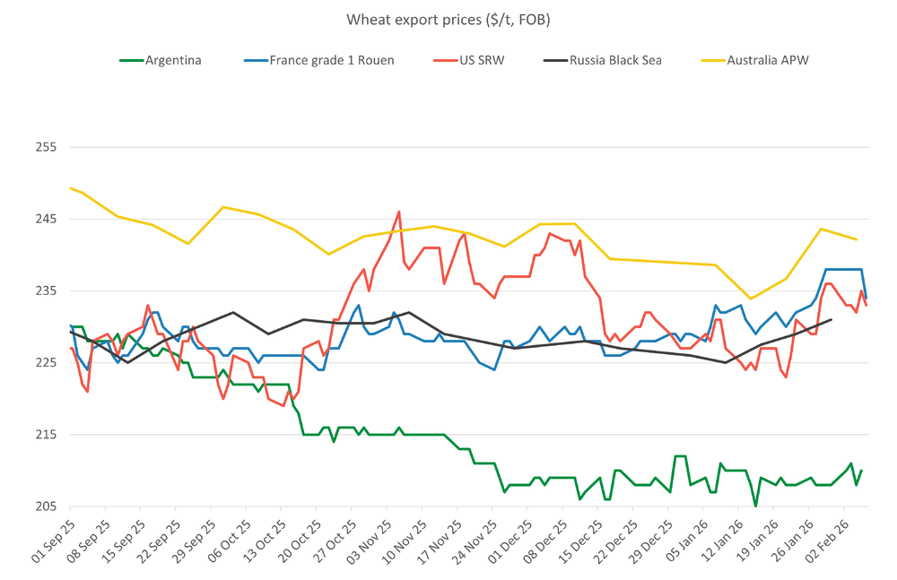 wheatexportprices 09.02.26