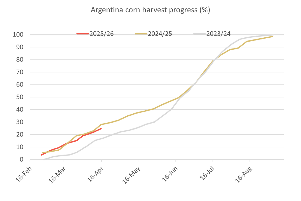 Global Crop Watch - Argentine corn debate tilts in favour of record crop