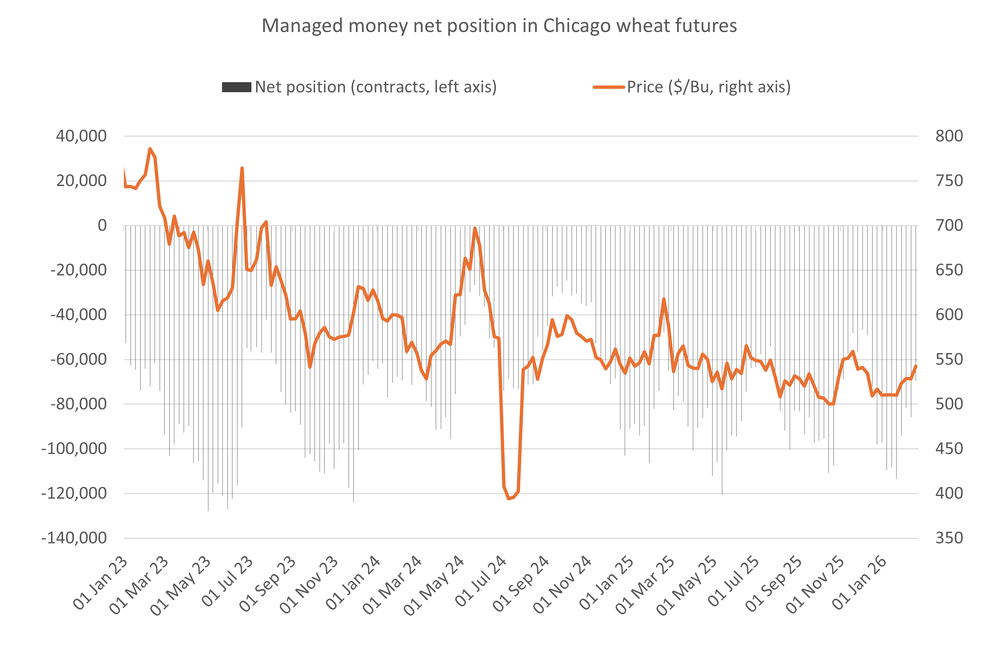 Chicagofundswheat 25.02.26