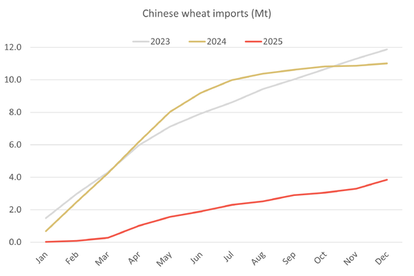 Is China fuelling import buying in the wheat market?