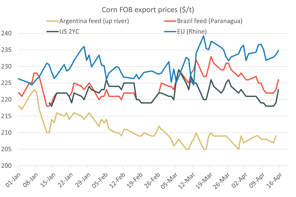 Cornexportprices 16.04.26