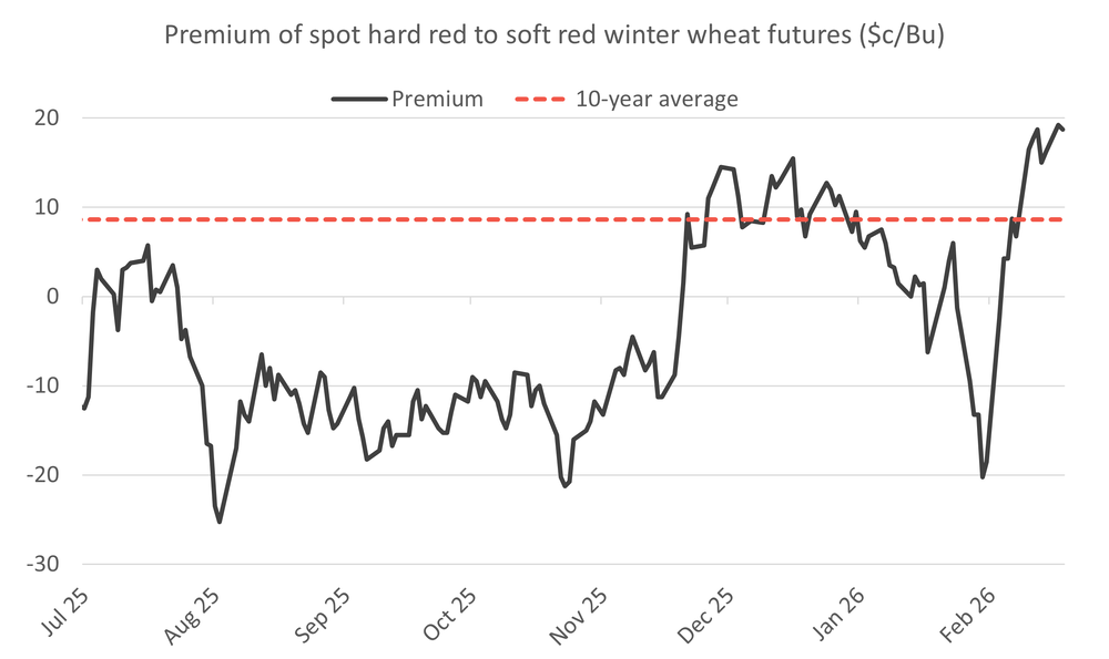 Global Crop Watch - US dryness gains wheat market attention