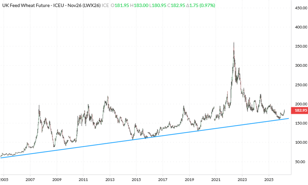 Long-term driver offers insight into UK wheat prices