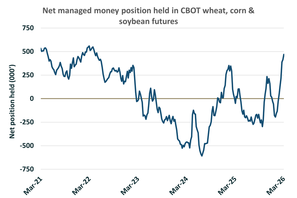 Funds Focus - US funds place bullish bets on grains