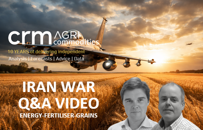 Iran War Snapshot Video