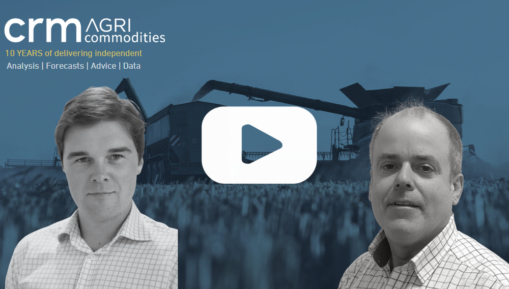 Grain Outlook Video - Geopolitics & Grain - 'The blockade has been blockaded'