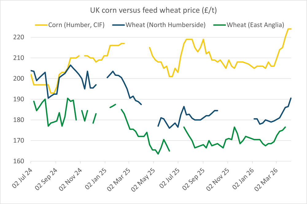 Corn vs wheat prices, fertiliser prices ease