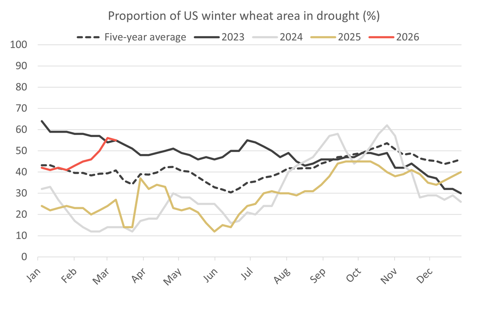 USwheatindrought 17.03.26