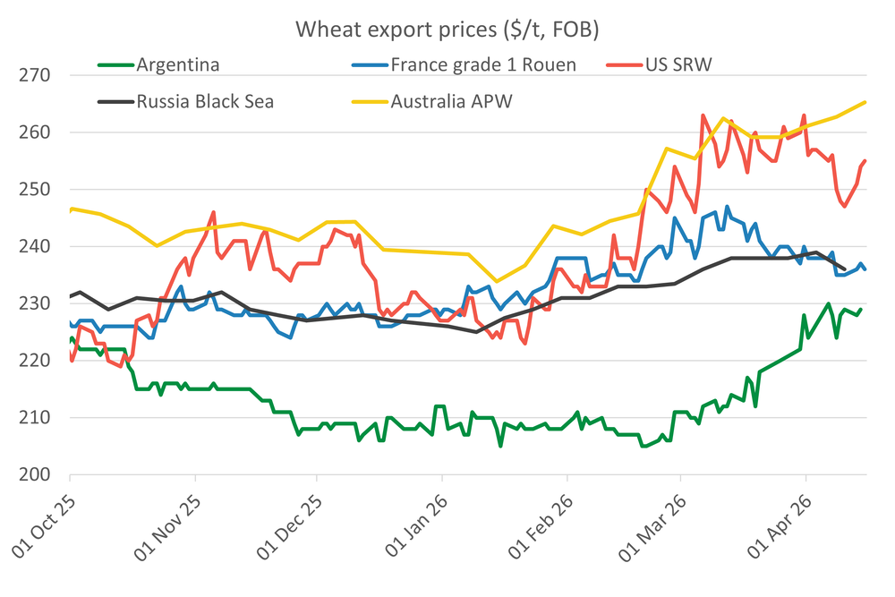 Wheatexportprices 16.04.26