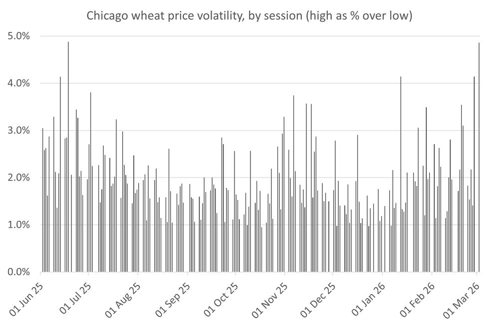 Wheat caught in volatile trade as markets negotiate Iran conflict fallout