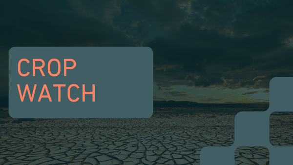 Global Crop Watch - Brewing El Nino enhances crop weather risks