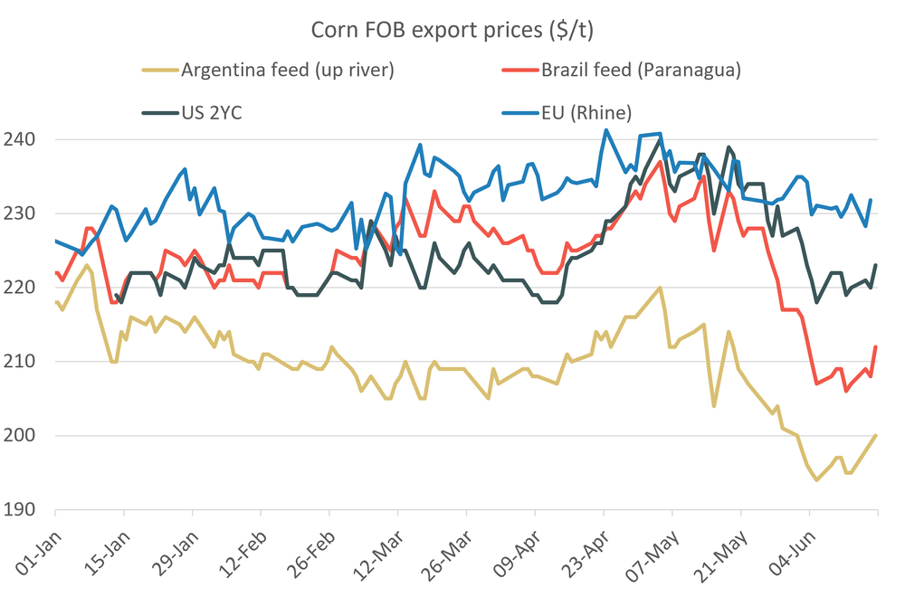 Cornexportprices 18.06.26