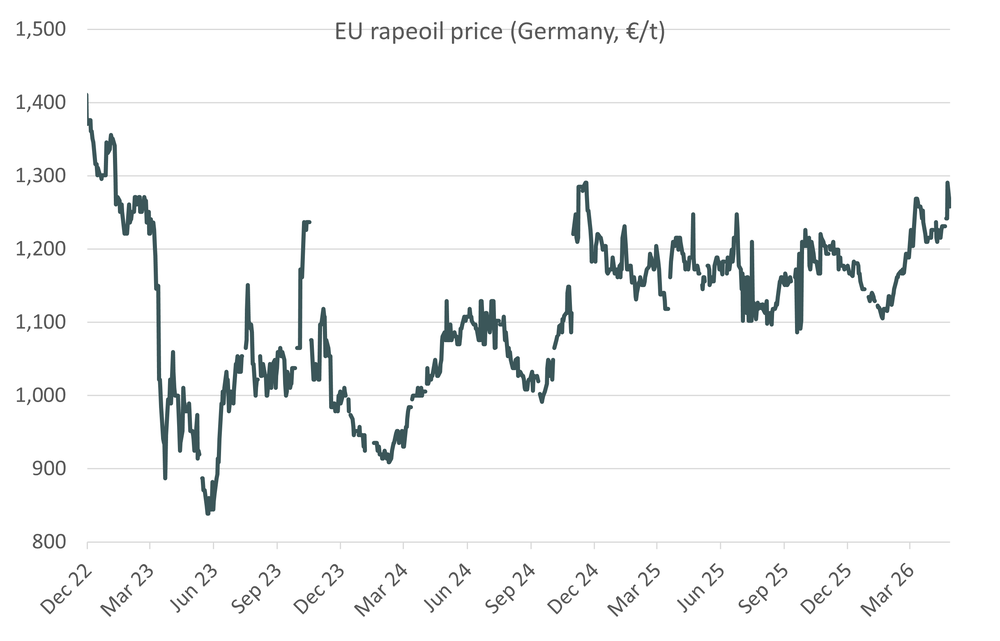 Rapeoilprice 28.04.26