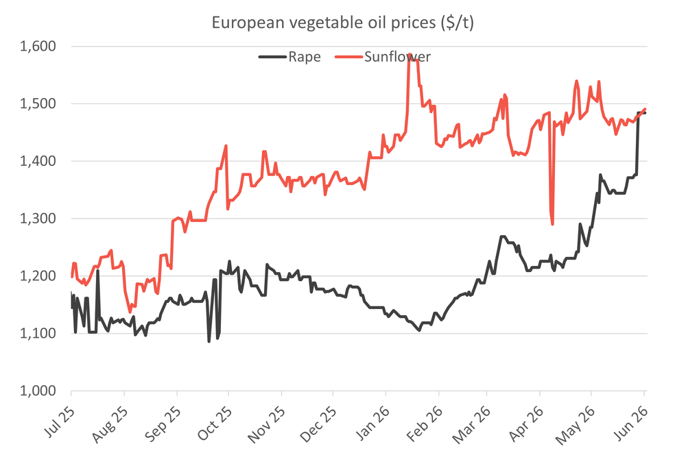 Rapeoilvssunoil