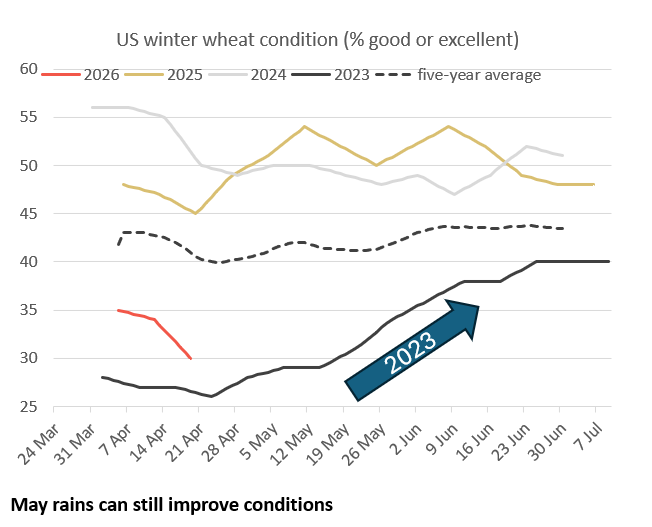 Crop worries spur wheat price jump to highest in more than a year