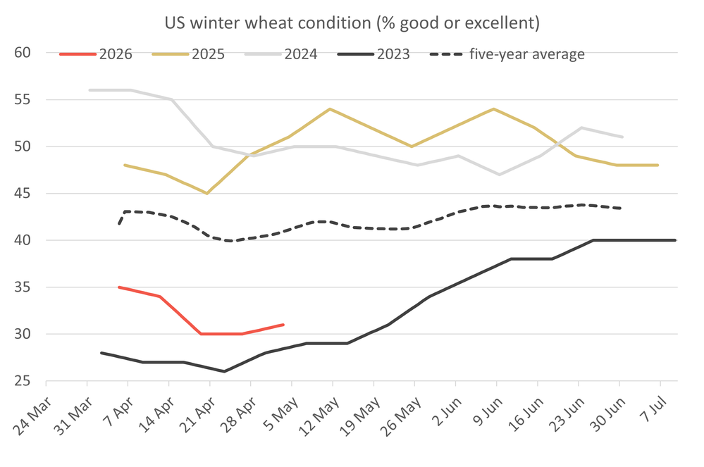 USwheatcondition 05.05.26